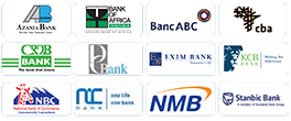 12 Partner banks
